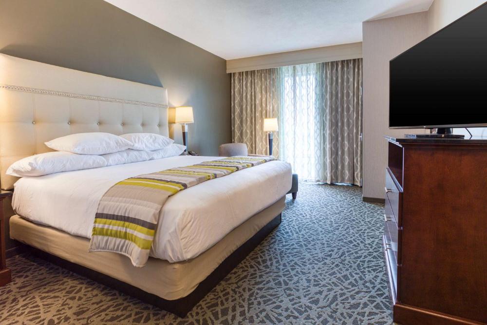 Deluxe King Suite interior